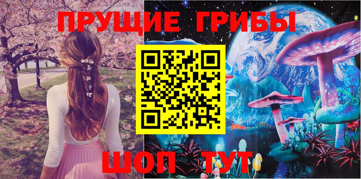 Галлюциногенные грибы Psilocybe  Псилоцибиновые грибы ЛСД  Вход с VPN  Свободный 